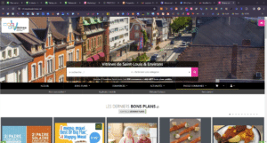 Site internet "Les vitrines de Saint Louis"